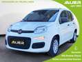 Fiat Panda FireFly Hybrid 70 | +City Paket Weiß - thumbnail 1