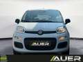 Fiat Panda FireFly Hybrid 70 | +City Paket Weiß - thumbnail 8