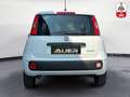 Fiat Panda FireFly Hybrid 70 | +City Paket Weiß - thumbnail 4