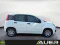 Fiat Panda FireFly Hybrid 70 | +City Paket Weiß - thumbnail 5