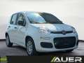 Fiat Panda FireFly Hybrid 70 | +City Paket Weiß - thumbnail 6