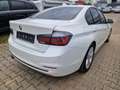 BMW 320 320 d Sport Line Weiß - thumbnail 6