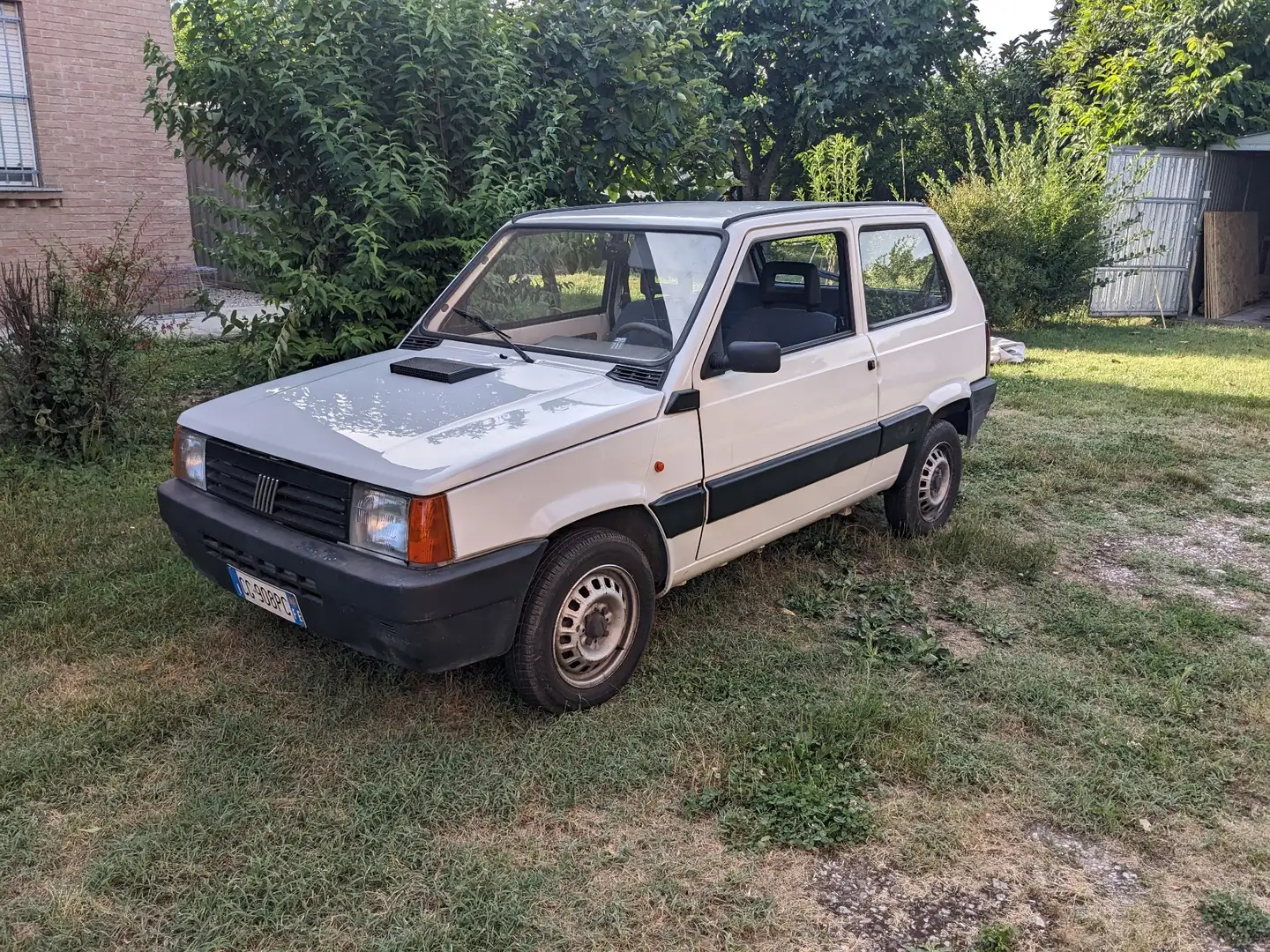 Fiat Panda 1.1 Young - 1