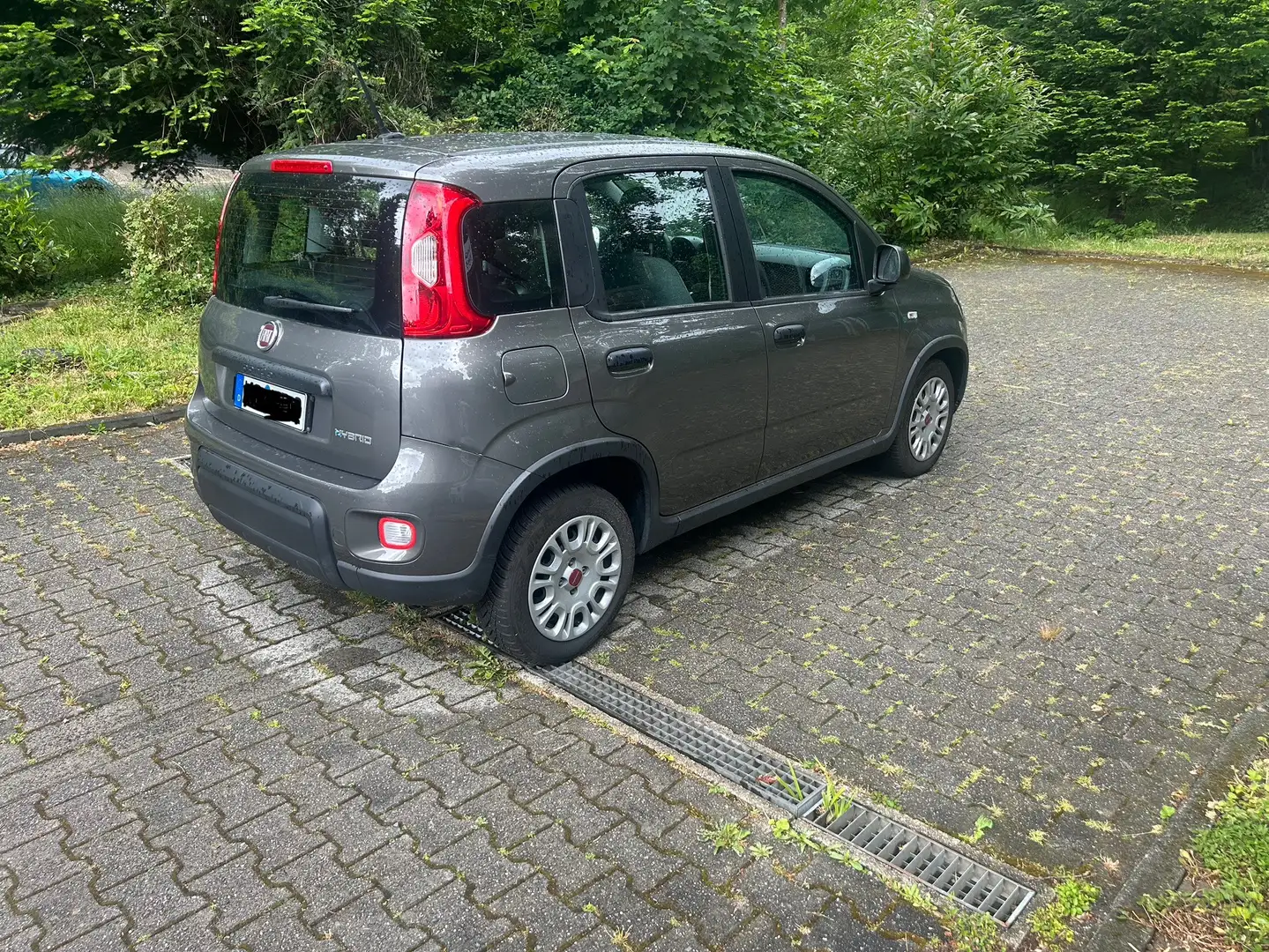 Fiat Grande Panda Wir verkaufen unsere Fiat Panda Hybrid Grau - 1
