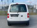 Volkswagen Caddy 1.6 TDI Kasten EcoProfi 1.Hand S-Heft Weiß - thumbnail 6