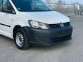 Volkswagen Caddy 1.6 TDI Kasten EcoProfi 1.Hand S-Heft Weiß - thumbnail 10
