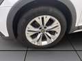 Volkswagen Passat Alltrack 2.0 TDI DSG 4M BUSINESS NAVI KAMERA PDC Weiß - thumbnail 8