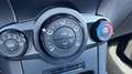 Ford Fiesta Fiesta Trend 1,25 | 82 PS | 4-Zylinder Schwarz - thumbnail 18
