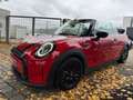 MINI Cooper Cabrio COOPER Cabrio Cooper*SHZ*PDC*CAM*LED Rouge - thumbnail 3