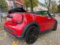 MINI Cooper Cabrio COOPER Cabrio Cooper*SHZ*PDC*CAM*LED Rouge - thumbnail 11