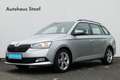 Skoda Fabia Active 1.0 TSI 95PS 5-Gang Argent - thumbnail 8