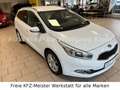 Kia Ceed SW / cee'd SW cee'd 1.4 SW FIFA World Cup Edition Alu Weiß - thumbnail 3