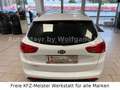 Kia Ceed SW / cee'd SW cee'd 1.4 SW FIFA World Cup Edition Alu Weiß - thumbnail 8
