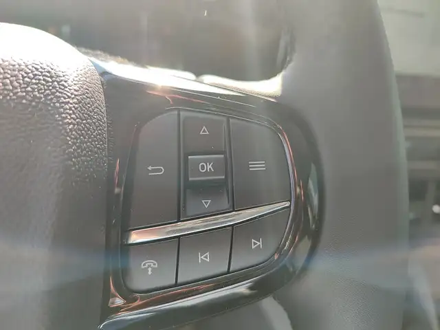 Ford Tourneo Custom Bus 2,0 EcoBlue 320 L2H1 FWD Titanium Ansicht 14