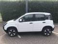 Fiat Panda Cross City Plus Hybrid Weiß - thumbnail 6