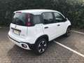 Fiat Panda Cross City Plus Hybrid Weiß - thumbnail 4