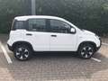 Fiat Panda Cross City Plus Hybrid Weiß - thumbnail 3