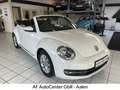 Volkswagen Beetle Cabriolet Design 1.2 TSI*Klima.*Sitzh. Bílá - thumbnail 1