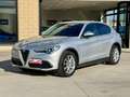 Alfa Romeo Stelvio Stelvio 2.2 t Business rwd 160cv AT8 *PERFETTA* Argento - thumbnail 3