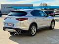 Alfa Romeo Stelvio Stelvio 2.2 t Business rwd 160cv AT8 *PERFETTA* Argento - thumbnail 6