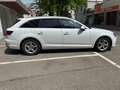 Audi A4 A4 Avant 2,0 TDI S-tronic Weiß - thumbnail 5