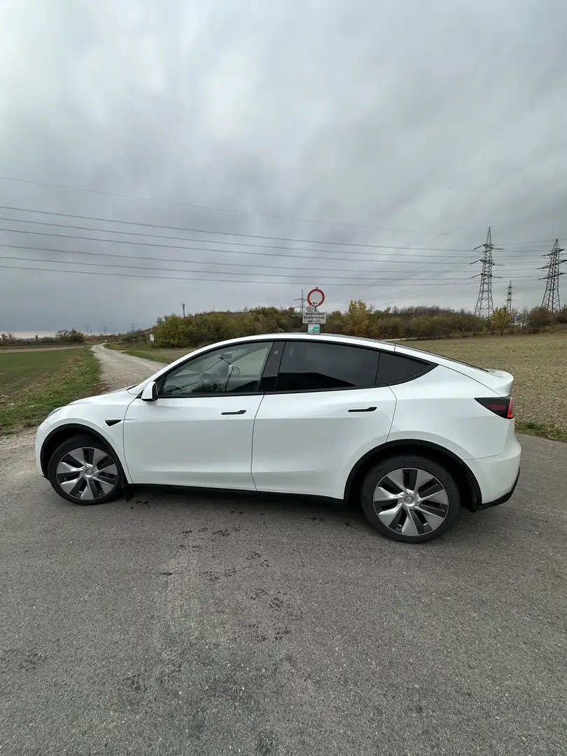 Tesla Model Y Model Y Long Range AWD 79kWh Weiß - 1