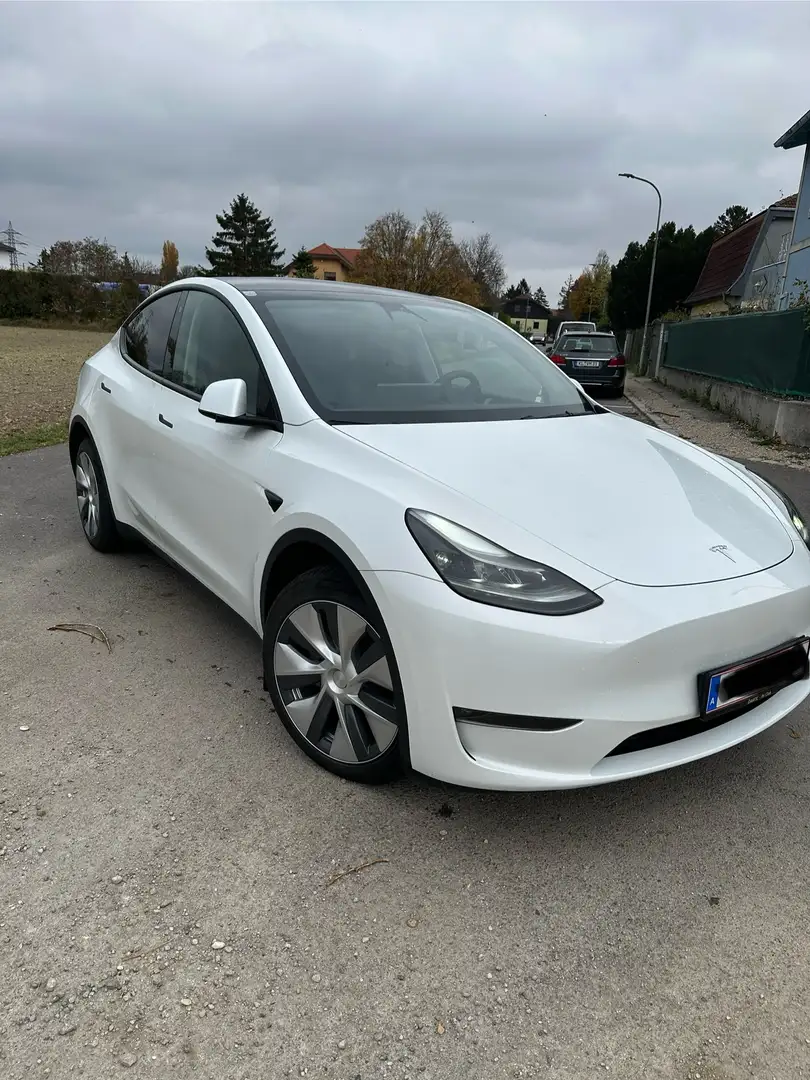Tesla Model Y Model Y Long Range AWD 79kWh Weiß - 2