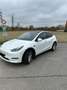 Tesla Model Y Model Y Long Range AWD 79kWh Weiß - thumbnail 5