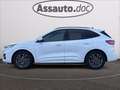 Ford Kuga 2.5 full hybrid ST-Line X 2wd 190cv cvt Bianco - thumbnail 4