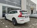 Volvo XC60 B5 AWD Geartronic Momentum Pro Tetto Cerchi22 DAB Weiß - thumbnail 6