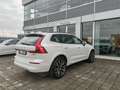 Volvo XC60 B5 AWD Geartronic Momentum Pro Tetto Cerchi22 DAB Weiß - thumbnail 7