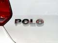 Volkswagen Polo Polo V 2014 5p 1.4 tdi Trendline 75cv Weiß - thumbnail 8