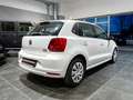 Volkswagen Polo Polo V 2014 5p 1.4 tdi Trendline 75cv Weiß - thumbnail 6
