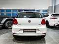 Volkswagen Polo Polo V 2014 5p 1.4 tdi Trendline 75cv Weiß - thumbnail 5