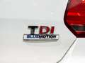 Volkswagen Polo Polo V 2014 5p 1.4 tdi Trendline 75cv Weiß - thumbnail 9