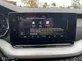 Skoda Octavia Combi 1.4 TSI iV PHEV LED*CAMERA*NAVI*CRUISE* Blauw - thumbnail 17