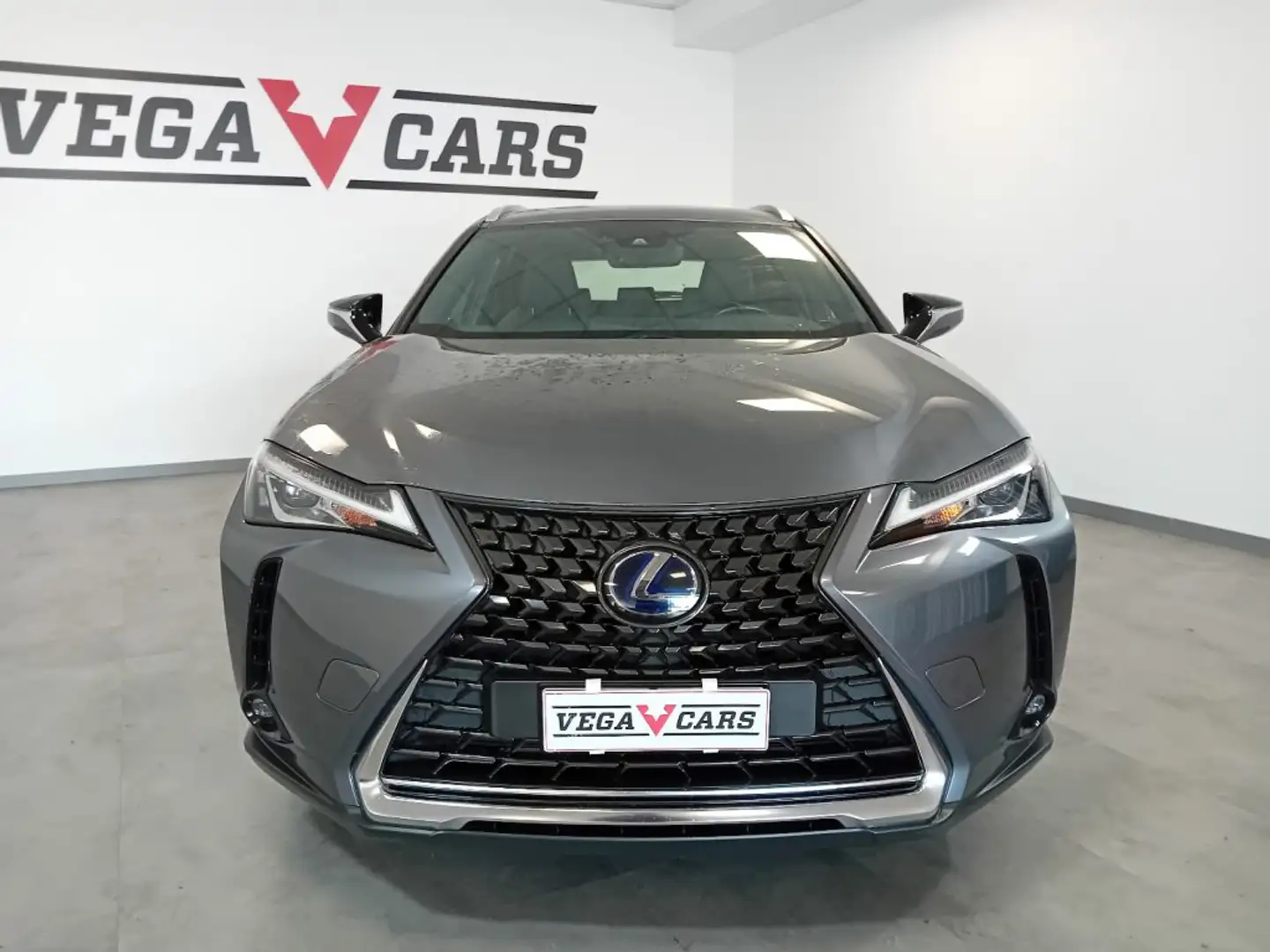 Lexus UX Full Electric UX Hybrid Business OFFERTA SUPERP Szary - 2