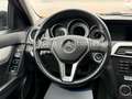 Mercedes-Benz C 180 C -Klasse T-Modell*LED*SHZ*NAVI*AHK*TEMPO*ALO* Gris - thumbnail 19