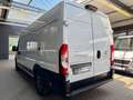 Fiat Ducato 2.2 D L5H2 MAXI 3,5t KLIMA CAM 3-SITZER Weiß - thumbnail 7