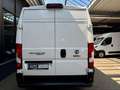 Fiat Ducato 2.2 D L5H2 MAXI 3,5t KLIMA CAM 3-SITZER Weiß - thumbnail 8