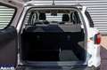 Ford EcoSport EcoSport 1.0 ecoboost Active s&s 125cv Bianco - thumbnail 8