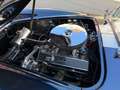 AC Cobra V8 435PS Neuer Motor H Kennzeichen Tüv neu Albastru - thumbnail 12