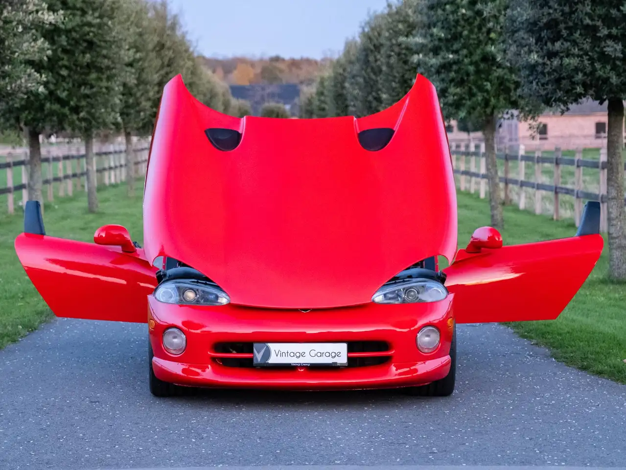 Dodge Viper RT/10, foto 8