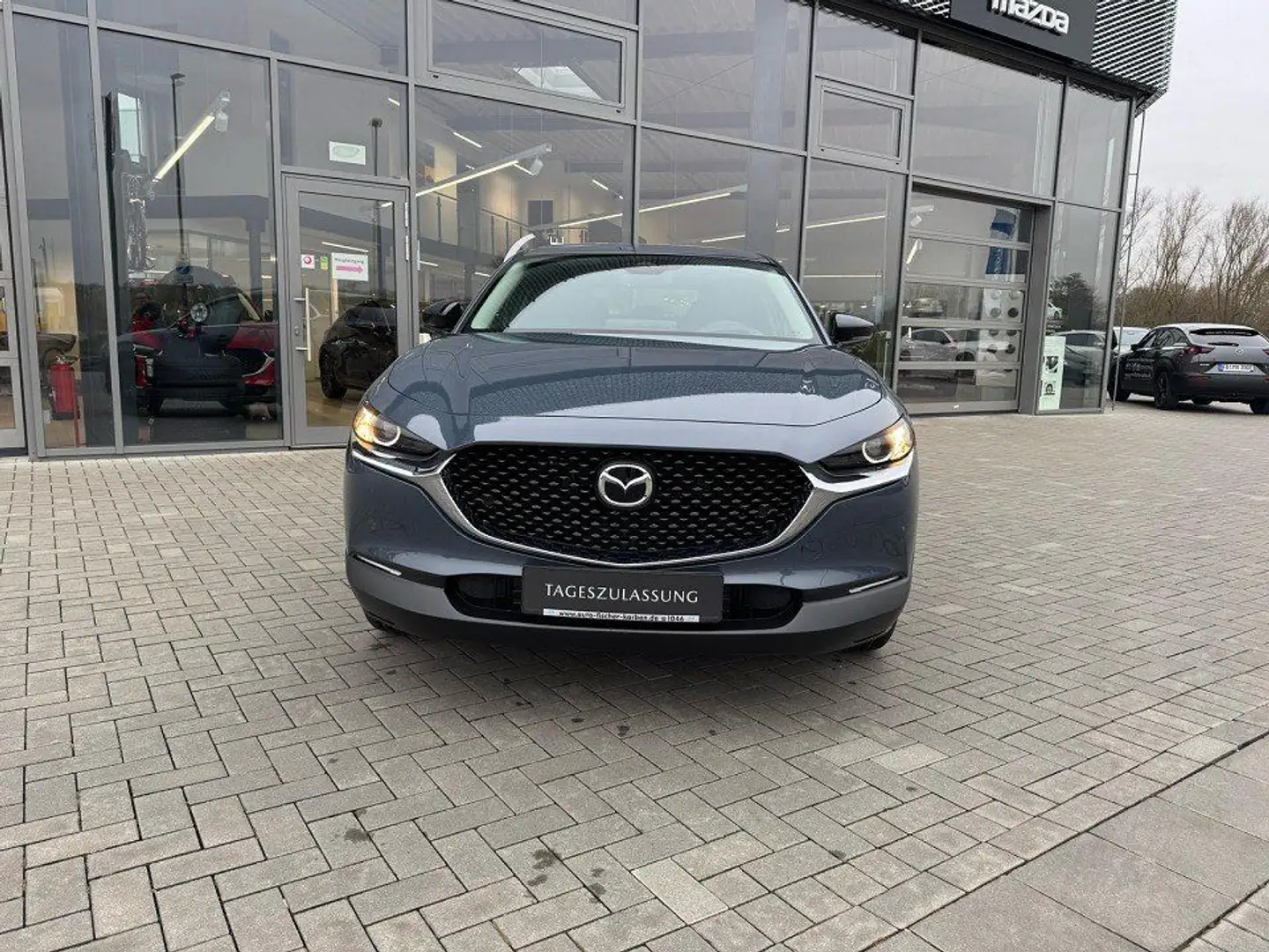 Mazda CX-30 2.5 (140PS) Schalter Homura Sitzheizung Na Grau - 2