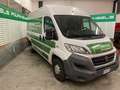 Fiat FIAT DUCATO - thumbnail 1