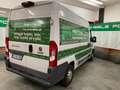 Fiat FIAT DUCATO - thumbnail 4