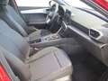 SEAT Leon 1.5 eTSI DSG-7 S&S FR Special Edition 150 Rouge - thumbnail 5