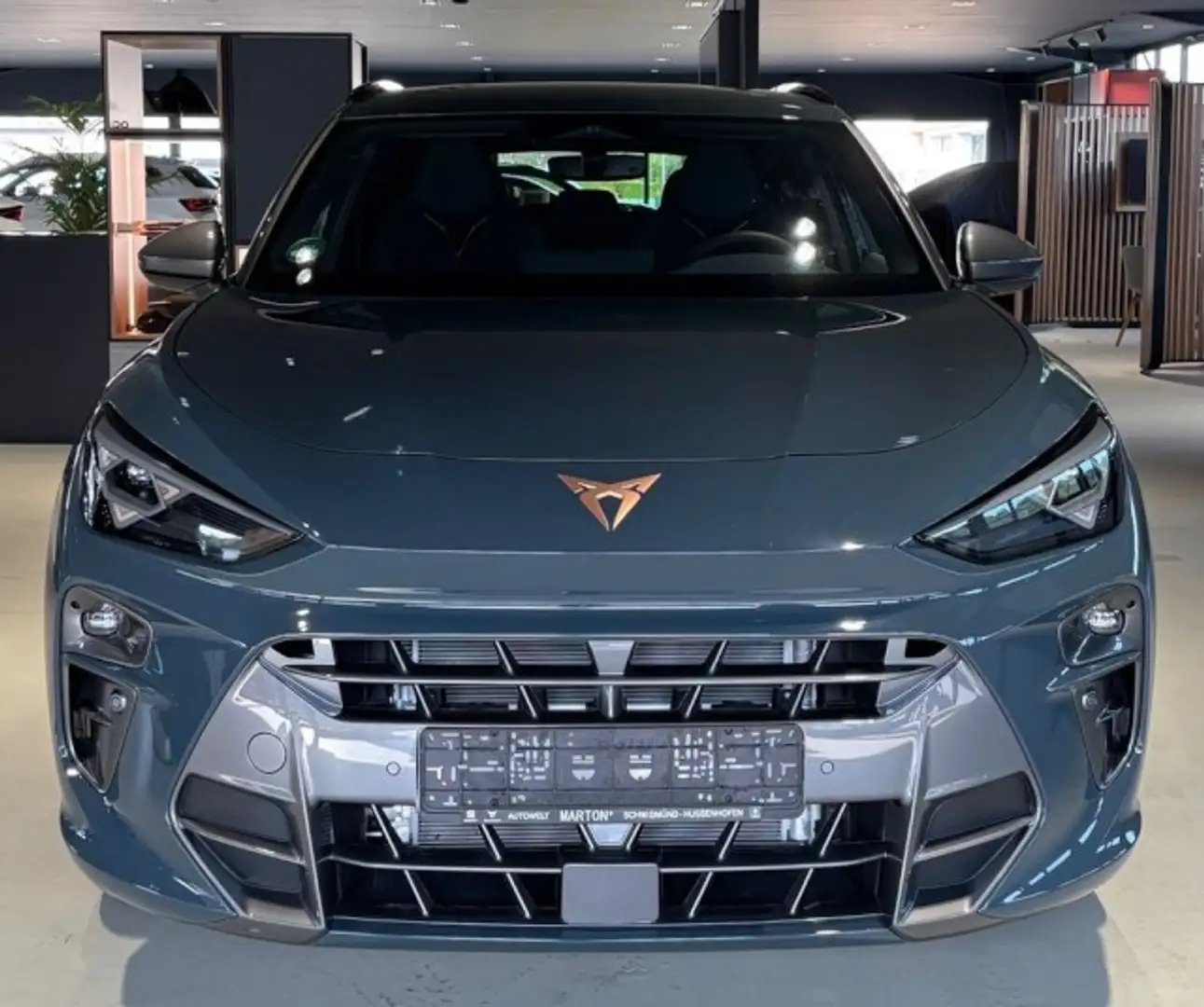 CUPRA Terramar Klima Rückfahrkamera Sitzheizung Fenster el. Blau - 2