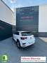 Volkswagen T-Roc 1.0 TSI Advance R-line 81kW Blanc - thumbnail 13