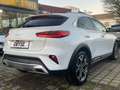 Kia XCeed 1.6 PHEV Platinum LED+Navi+Pano+SD+SHZ Blanc - thumbnail 8